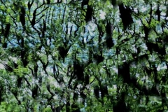 Spring (Abstractions) #6