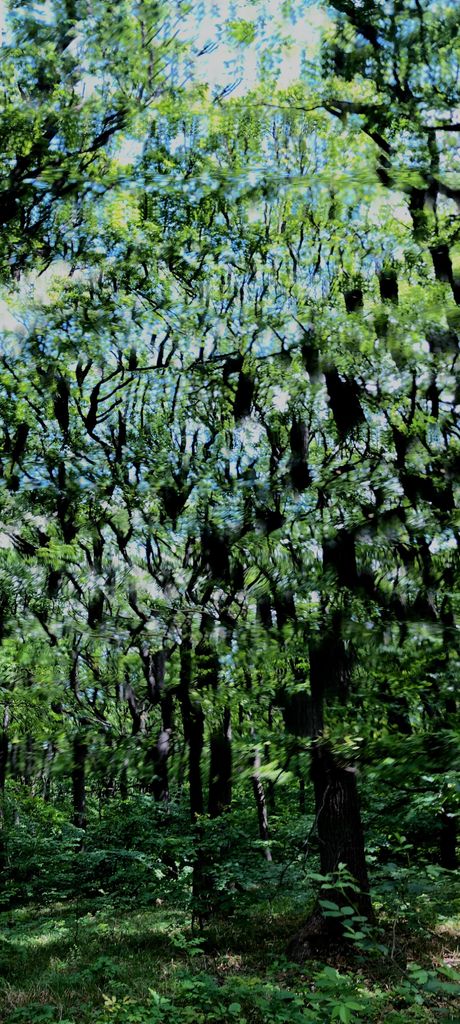 Spring (Abstractions) #6