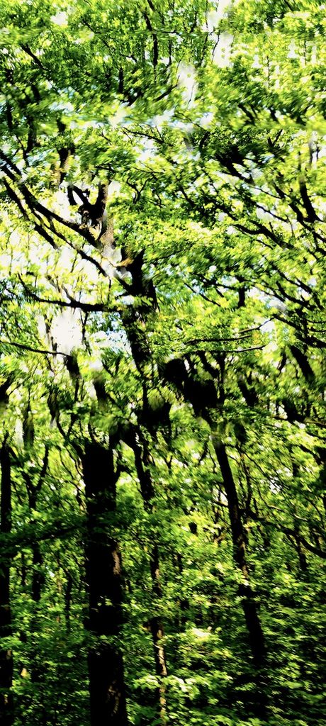 Spring (Abstractions) #1