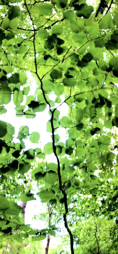 Spring (Abstractions) #2