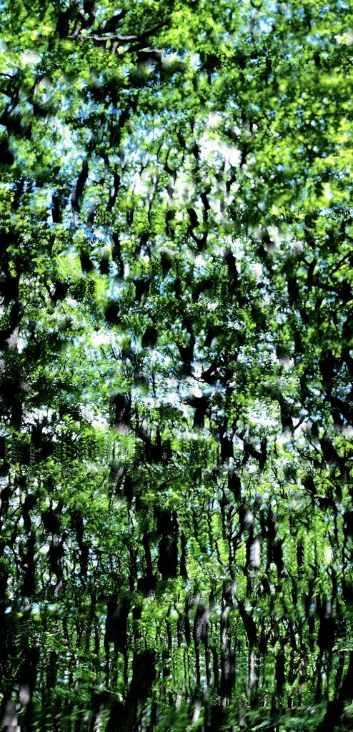 Spring (Abstractions) #3